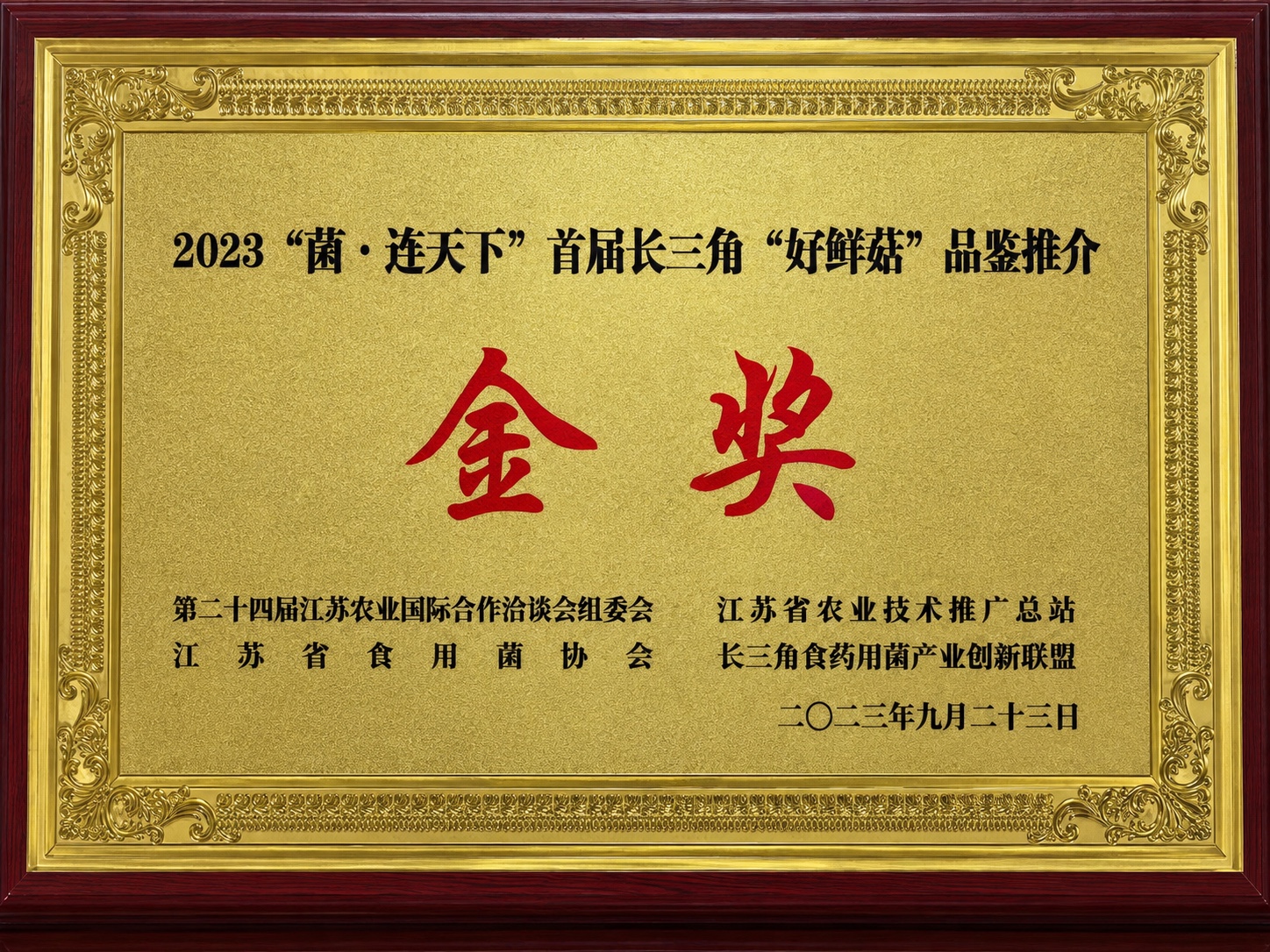 2023 Jun Lian Tian Xia Gold Award